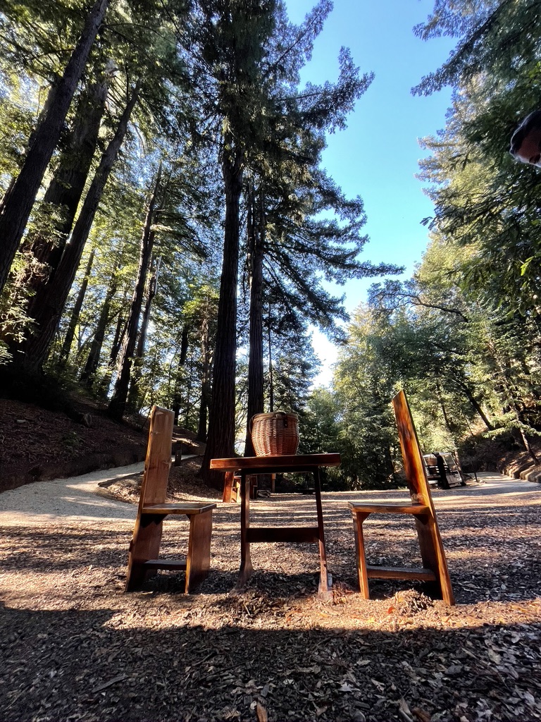 Table for two nestled in the redwood forest at Hyatt Alila Ventana