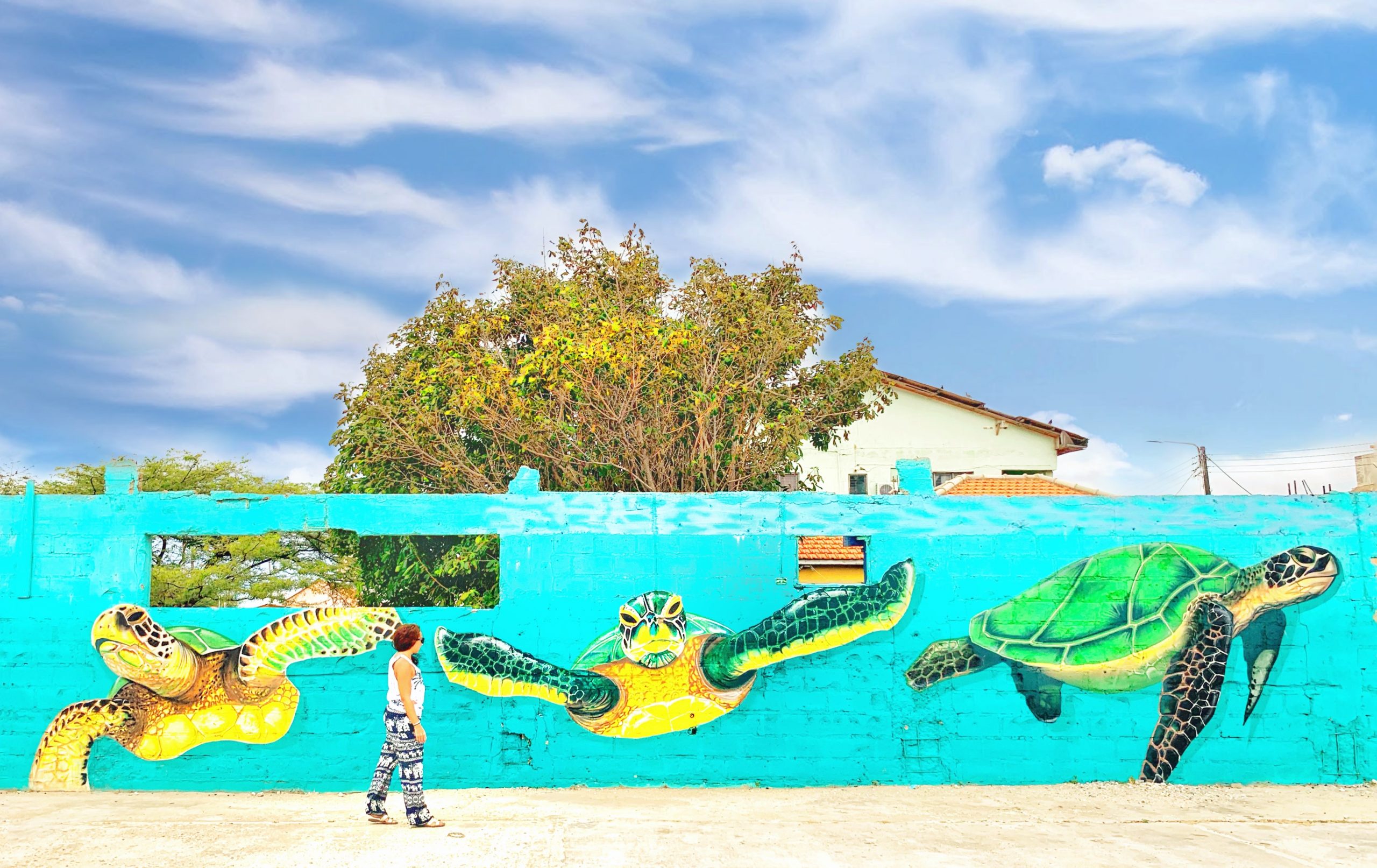 Girl walking by painted wall of 3 turtles
