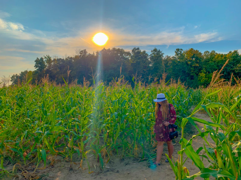 Women walking through a corn maze