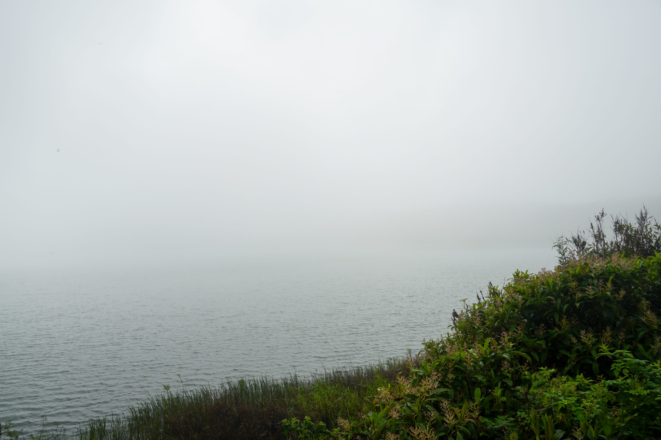 El Junco Lagoon with fog over it