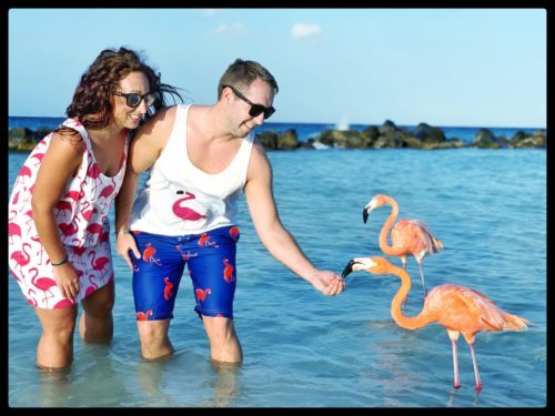 Man and woman standing in water feeding two pink flamingos.