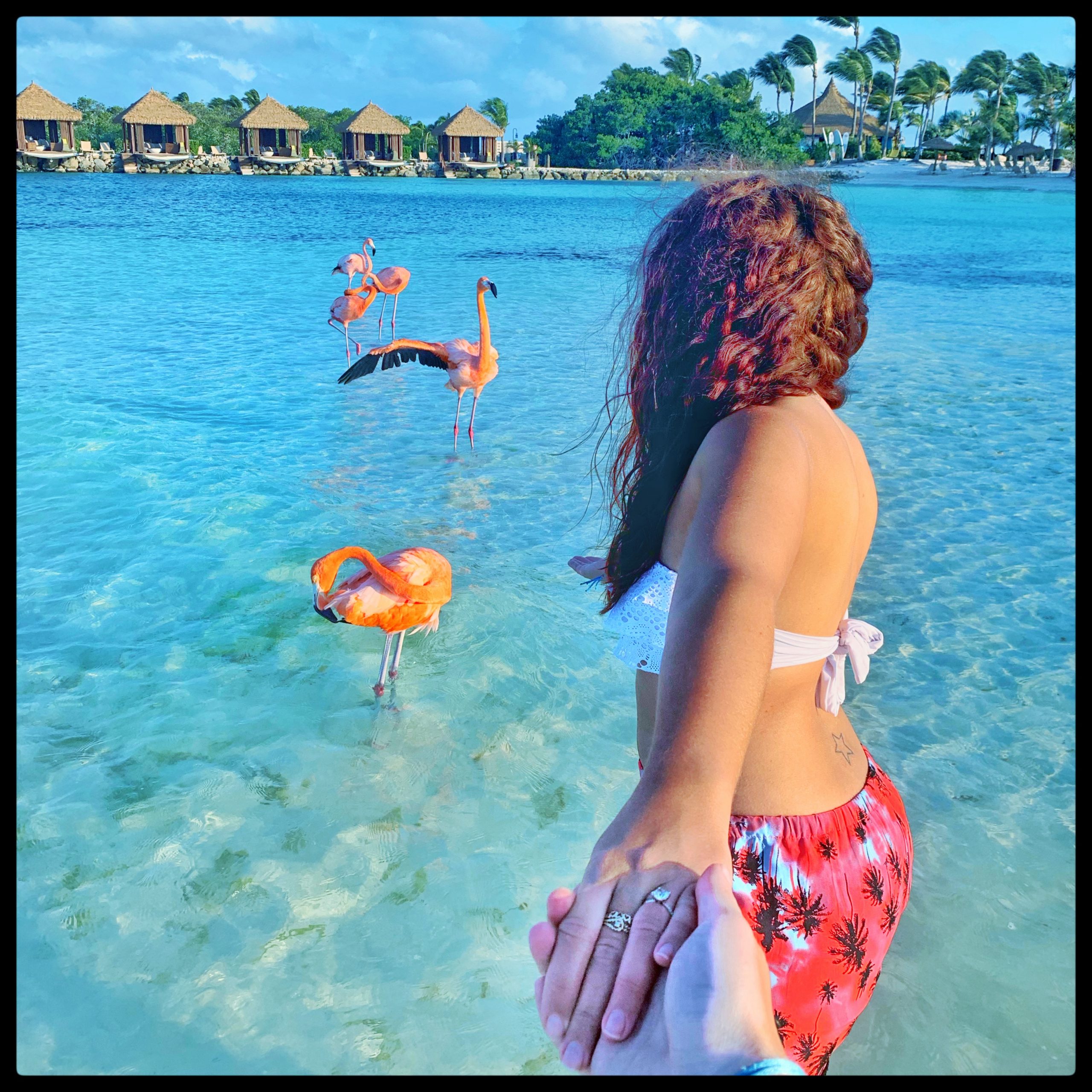 Boy holding girls hand walking towards flamingos in the water. 