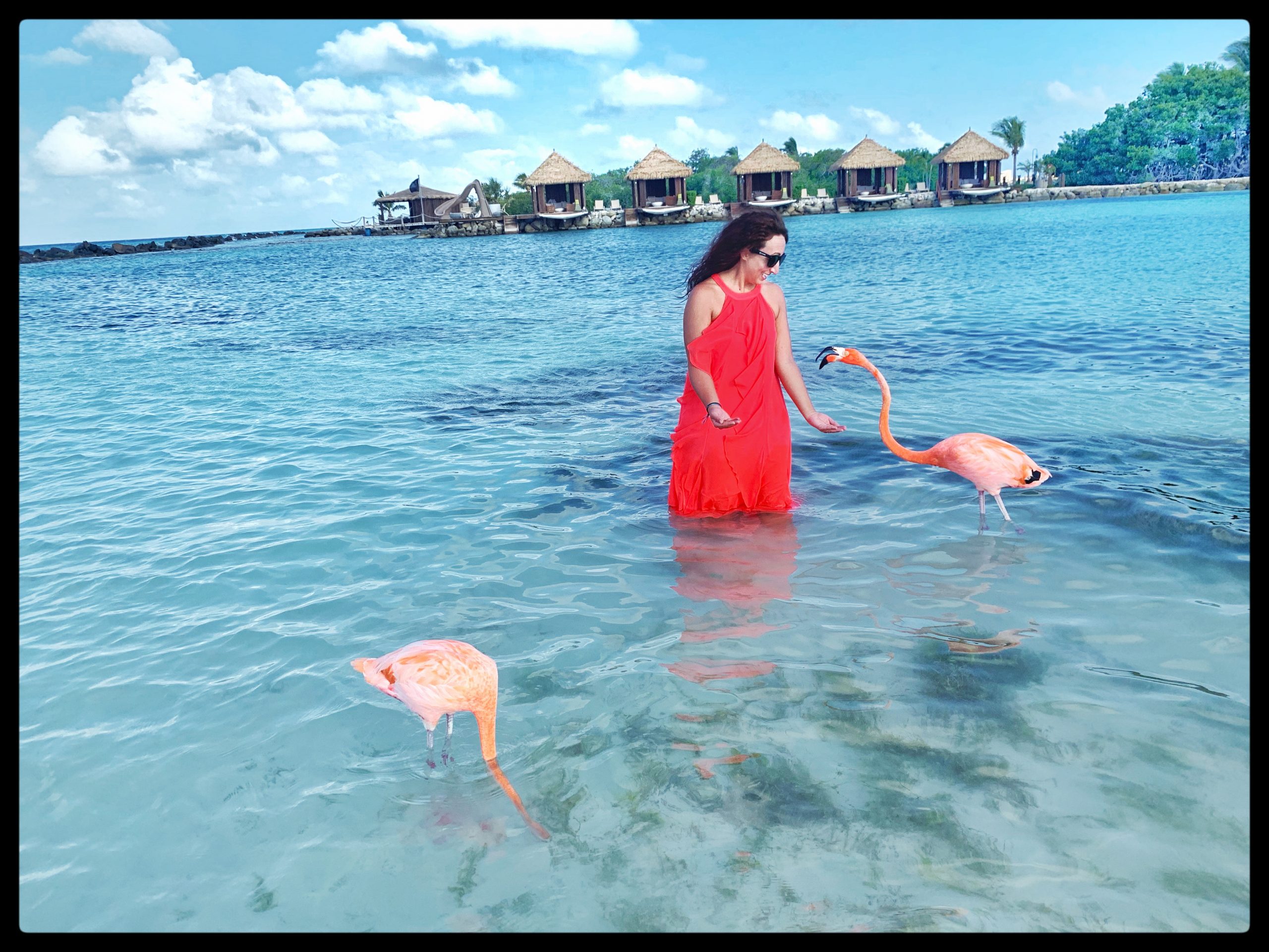 Girl in Pink dress standing in the water with two pink flamingos around her.
