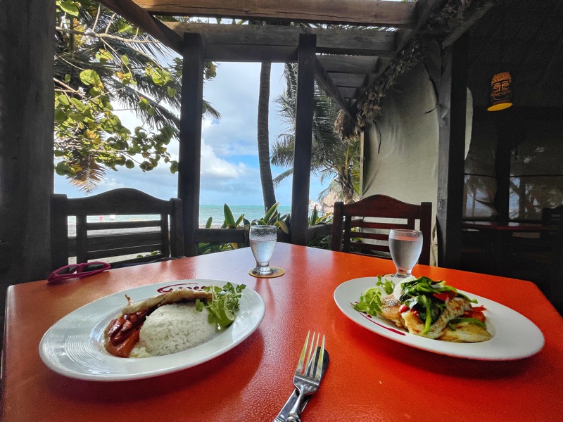 Photo of two fish dinners with an ocean view in the background. 