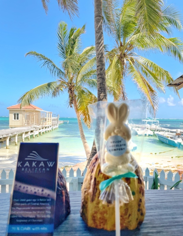 Bars of chocolate with the ocean in the background