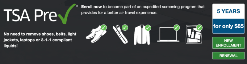 Global Entry vs TSA PreCheck - Application and Renewal - Recess 4