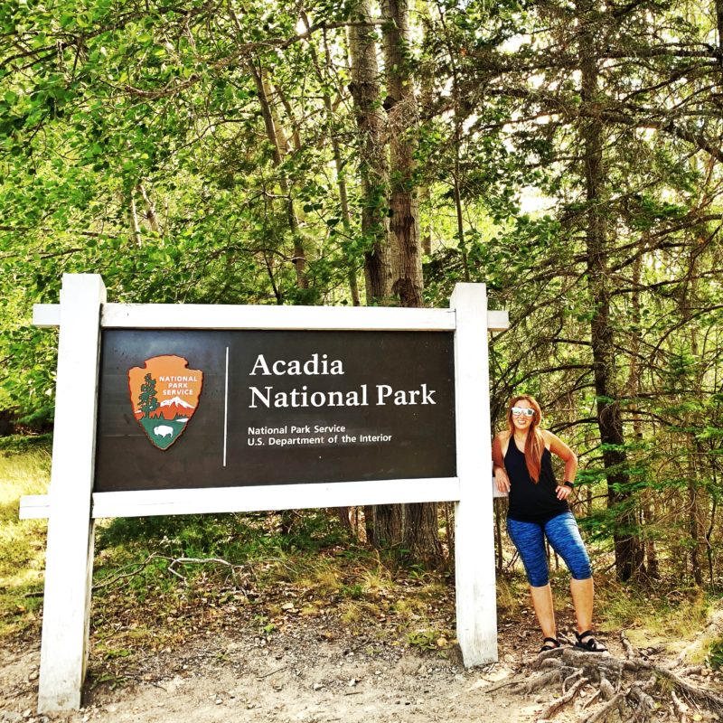 road trip from boston to acadia national park