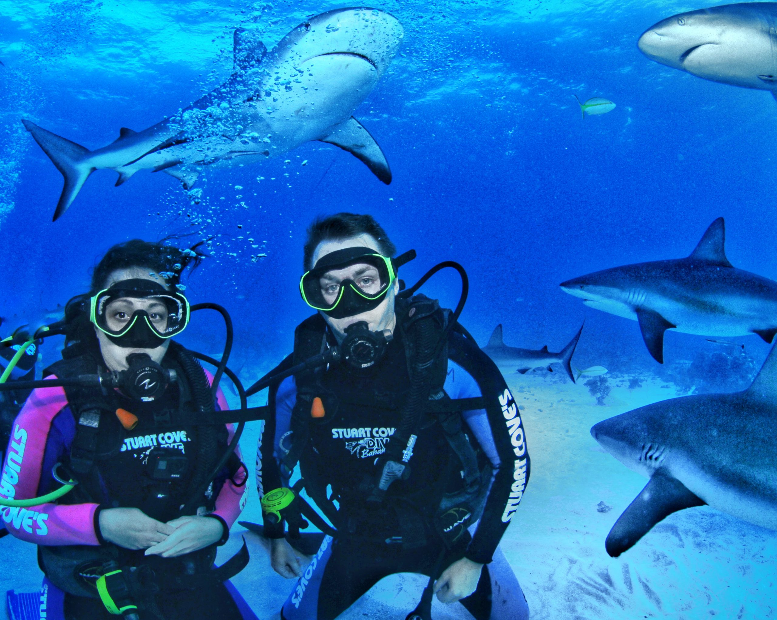 Couple scuba diving with sharks swimming all around