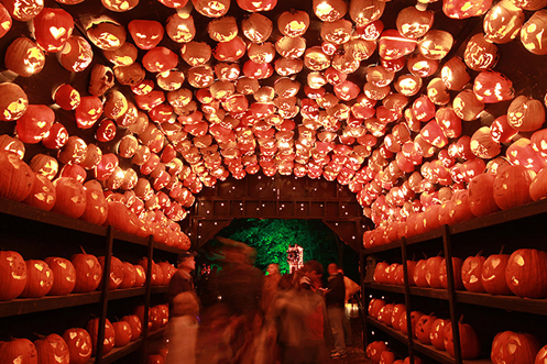 Hand-carved Jack-o-lanters through a tunnel